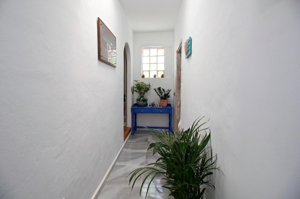 Villa Alto Arena Piscina Privada Climatizada 잉헤니오 외부 사진